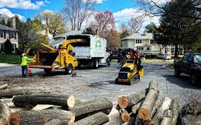 Best Hedge Trimming  in Audubon, NJ